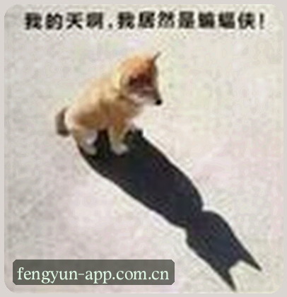 周明